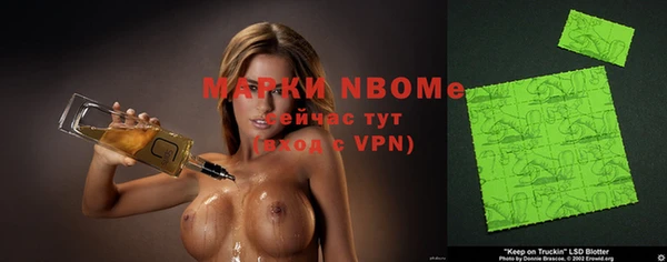 гашик Алексин