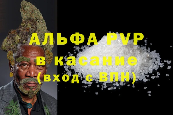 гашик Алексин