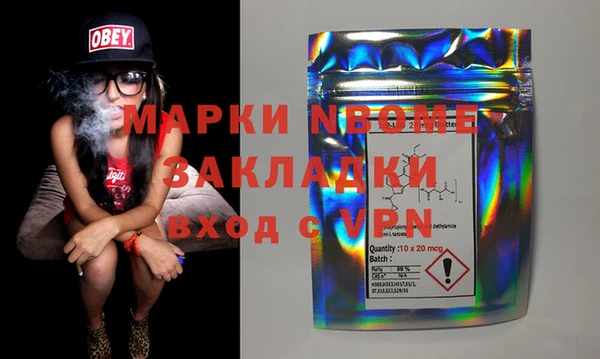 гашик Алексин