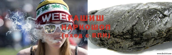 гашик Алексин