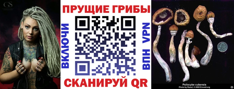 Галлюциногенные грибы мицелий  Переславль-Залесский 