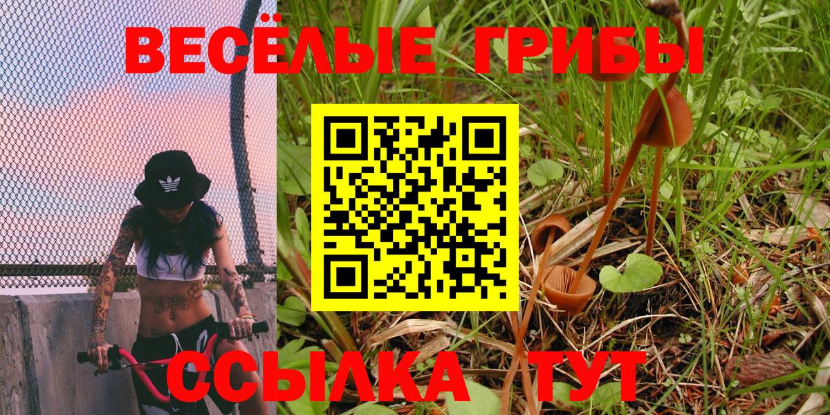 Галлюциногенные грибы Psilocybine cubensis Переславль-Залесский