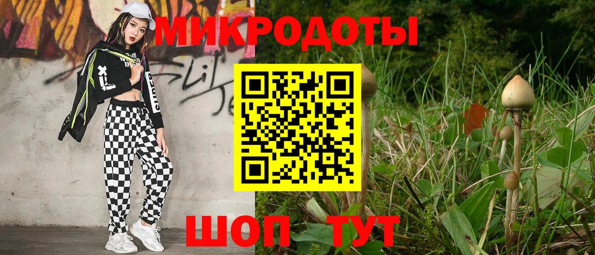 Переславль-Залесский  Псилоцибиновые грибы Psilocybe  Вход с VPN  Галлюциногенные грибы мицелий 